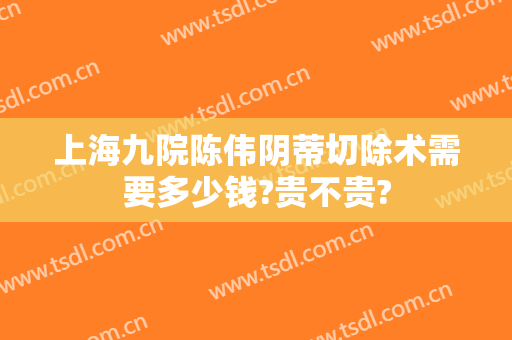 上海九院陈伟阴蒂切除术需要多少钱?贵不贵?