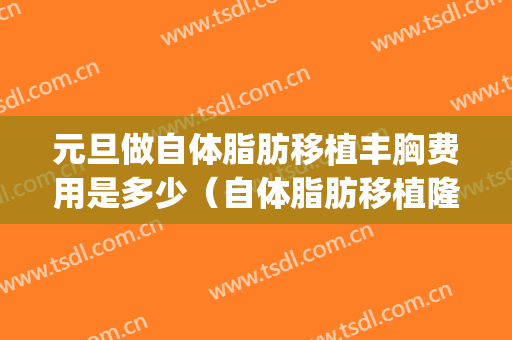 元旦做自体脂肪移植丰胸费用是多少（自体脂肪移植隆胸手术费用）(自体脂肪丰胸术需要多少钱)