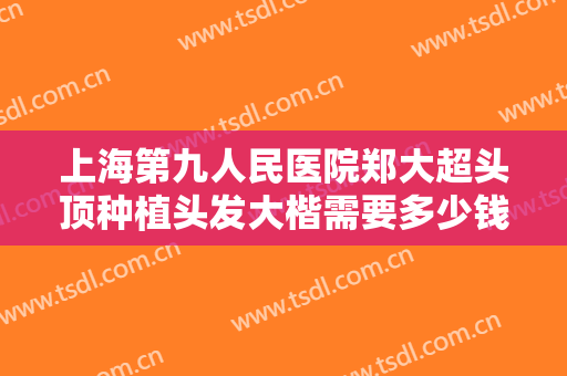 上海第九人民医院郑大超头顶种植头发大楷需要多少钱?好不好?