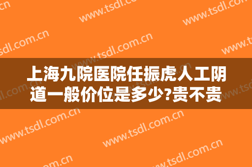 上海九院医院任振虎人工阴道一般价位是多少?贵不贵?