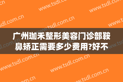广州珈禾整形美容门诊部鞍鼻矫正需要多少费用?好不好?(广州珈禾整形医院电话)