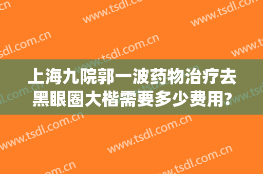 上海九院郭一波药物治疗去黑眼圈大楷需要多少费用?贵不贵?(上海九院 黑眼圈)
