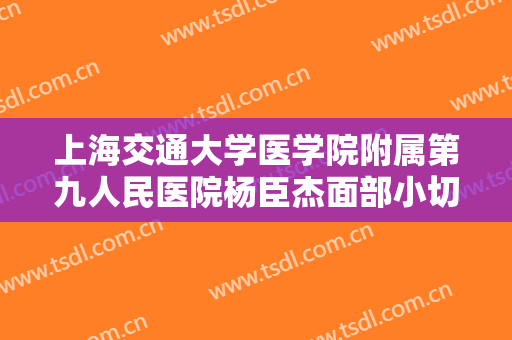 上海交通大学医学院附属第九人民医院杨臣杰面部小切口提升价格表!怎么样?