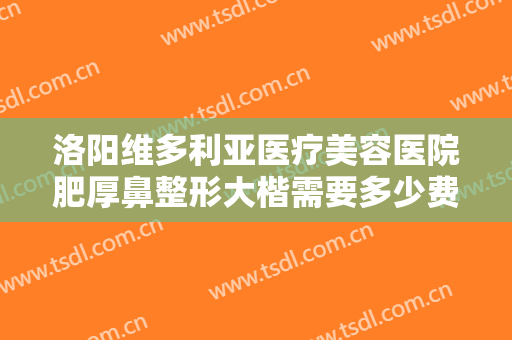 洛阳维多利亚医疗美容医院肥厚鼻整形大楷需要多少费用?有哪些优势?