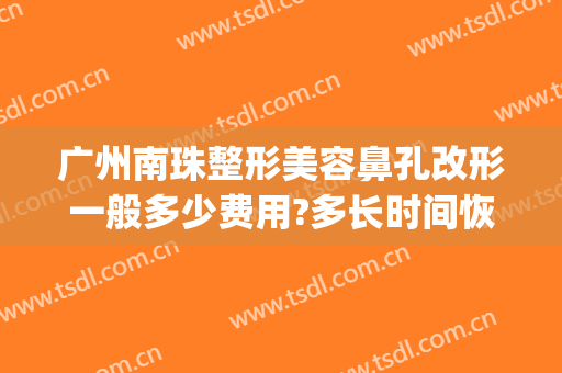 广州南珠整形美容鼻孔改形一般多少费用?多长时间恢复?(广州鼻部整形手术)