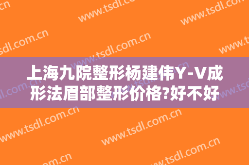 上海九院整形杨建伟Y-V成形法眉部整形价格?好不好?
