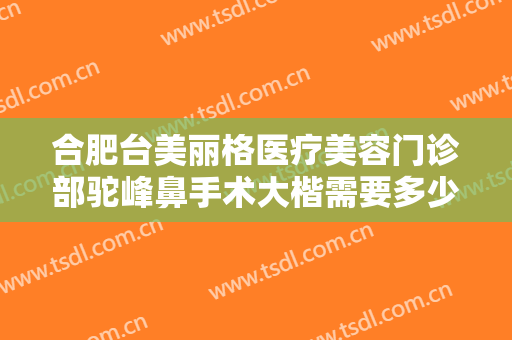 合肥台美丽格医疗美容门诊部驼峰鼻手术大楷需要多少钱?多长时间恢复?