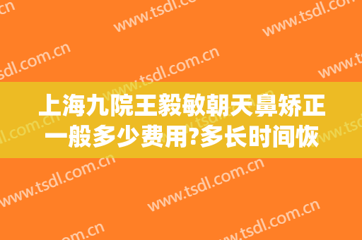 上海九院王毅敏朝天鼻矫正一般多少费用?多长时间恢复?(上海九院鼻部整形价格)