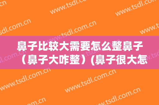 鼻子比较大需要怎么整鼻子（鼻子大咋整）(鼻子很大怎么整)