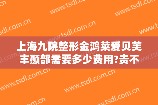 上海九院整形金鸿莱爱贝芙丰颞部需要多少费用?贵不贵?