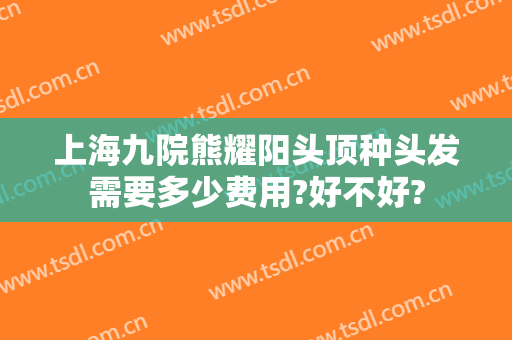 上海九院熊耀阳头顶种头发需要多少费用?好不好?