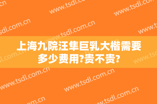 上海九院汪隼巨乳大楷需要多少费用?贵不贵?