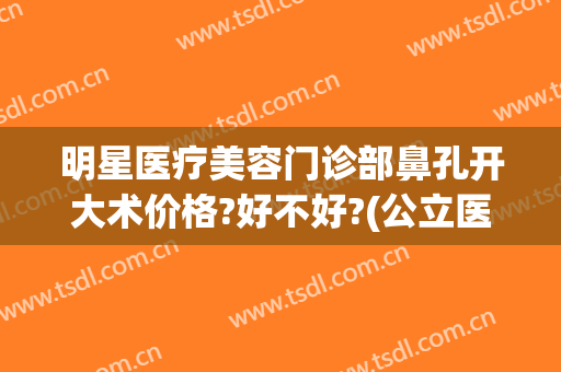 明星医疗美容门诊部鼻孔开大术价格?好不好?(公立医院整鼻子多少钱)