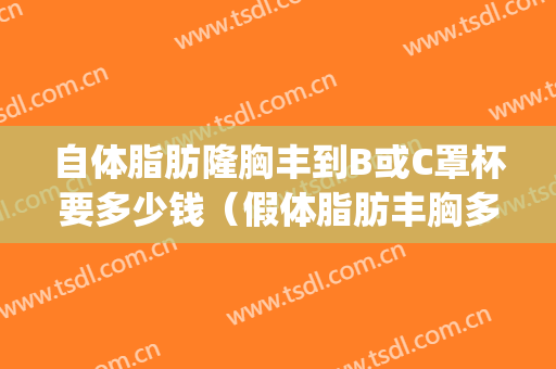 自体脂肪隆胸丰到B或C罩杯要多少钱（假体脂肪丰胸多少钱?）(假体丰胸需多少钱)