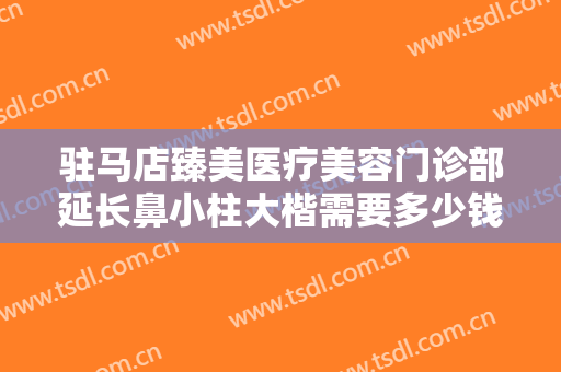 驻马店臻美医疗美容门诊部延长鼻小柱大楷需要多少钱?贵不贵?