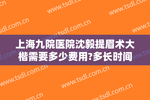 上海九院医院沈毅提眉术大楷需要多少费用?多长时间恢复?