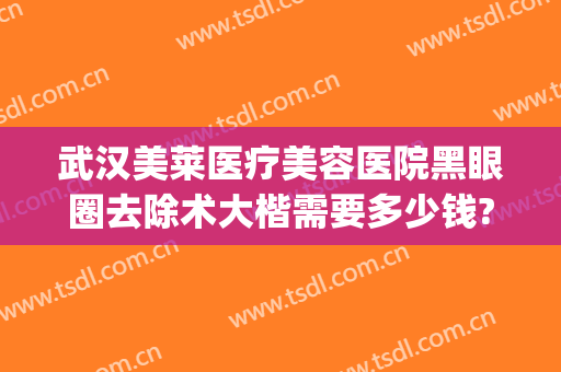 武汉美莱医疗美容医院黑眼圈去除术大楷需要多少钱?好不好?(医美祛黑眼圈多少钱)
