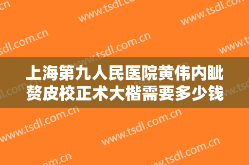 上海第九人民医院黄伟内眦赘皮校正术大楷需要多少钱?效果怎么样?