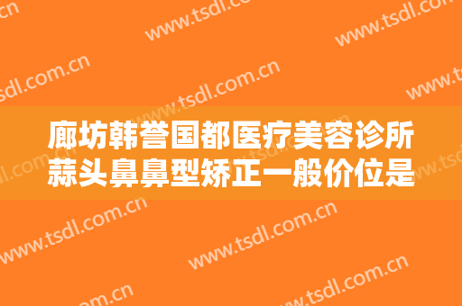 廊坊韩誉国都医疗美容诊所蒜头鼻鼻型矫正一般价位是多少费用?怎么样?