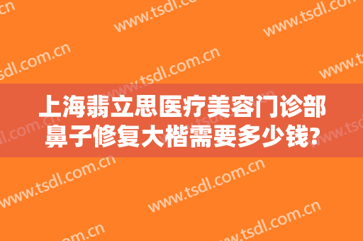 上海翡立思医疗美容门诊部鼻子修复大楷需要多少钱?贵不贵?
