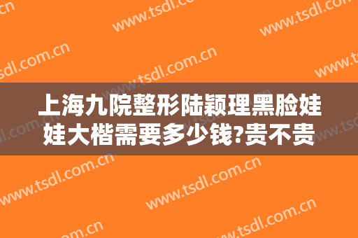 上海九院整形陆颖理黑脸娃娃大楷需要多少钱?贵不贵?