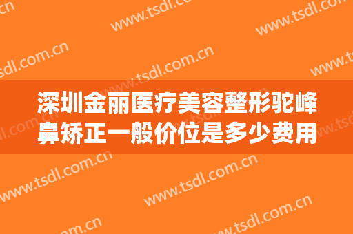 深圳金丽医疗美容整形驼峰鼻矫正一般价位是多少费用?贵不贵?(鼻梁矫正价格)