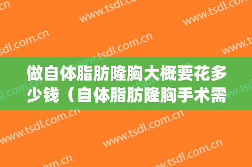 做自体脂肪隆胸大概要花多少钱（自体脂肪隆胸手术需要多少钱）(自体脂肪隆胸多少钱?)