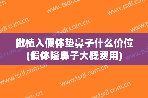 做植入假体垫鼻子什么价位(假体隆鼻子大概费用)