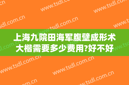 上海九院田海军腹壁成形术大楷需要多少费用?好不好?(上海九院腹壁整形术多少钱)