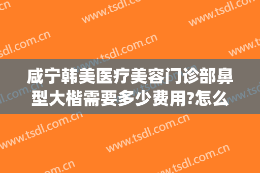 咸宁韩美医疗美容门诊部鼻型大楷需要多少费用?怎么样?(咸宁整形美容医院费用)