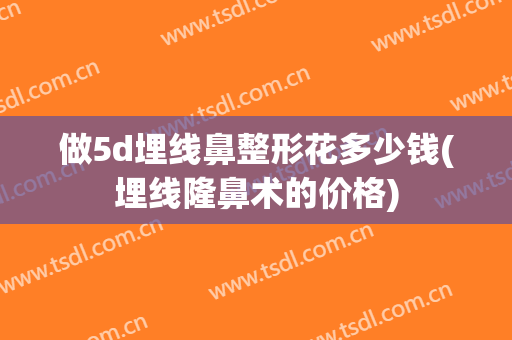 做5d埋线鼻整形花多少钱(埋线隆鼻术的价格)