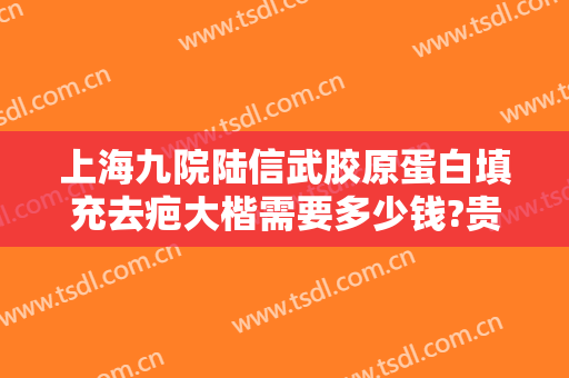 上海九院陆信武胶原蛋白填充去疤大楷需要多少钱?贵不贵?
