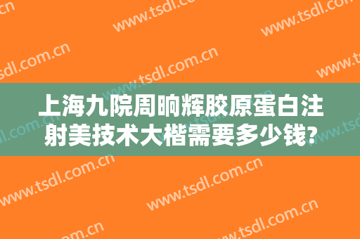 上海九院周晌辉胶原蛋白注射美技术大楷需要多少钱?贵不贵?