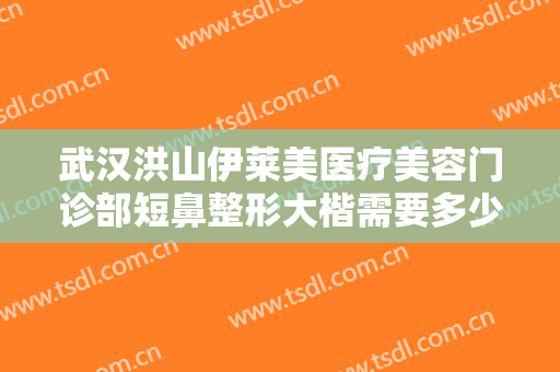 武汉洪山伊莱美医疗美容门诊部短鼻整形大楷需要多少费用?怎么样?