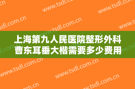 上海第九人民医院整形外科曹东耳垂大楷需要多少费用?需要多久恢复?