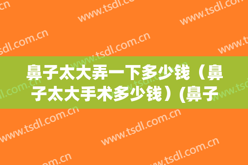 鼻子太大弄一下多少钱（鼻子太大手术多少钱）(鼻子手术要多少钱)