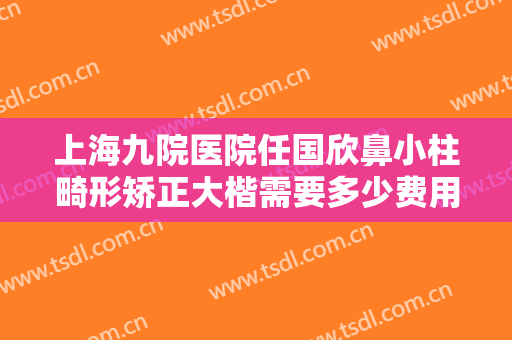 上海九院医院任国欣鼻小柱畸形矫正大楷需要多少费用?效果怎么样?