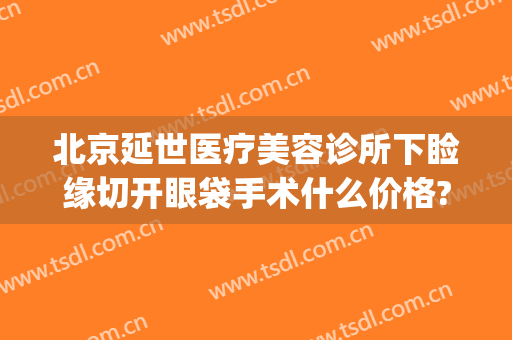北京延世医疗美容诊所下睑缘切开眼袋手术什么价格?有哪些优势?(北京延世双眼皮)