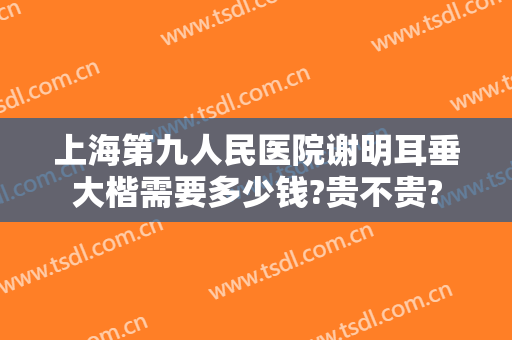 上海第九人民医院谢明耳垂大楷需要多少钱?贵不贵?