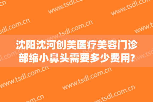 沈阳沈河创美医疗美容门诊部缩小鼻头需要多少费用?多长时间恢复?(沈阳杏林整形医院做鼻子多少钱)