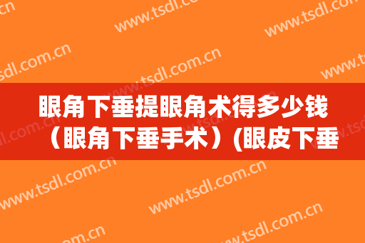 眼角下垂提眼角术得多少钱（眼角下垂手术）(眼皮下垂手术多少钱)