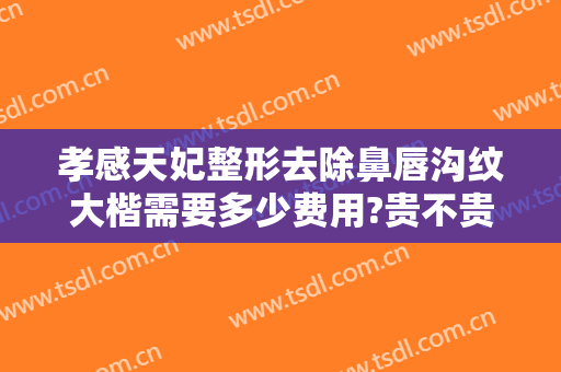 孝感天妃整形去除鼻唇沟纹大楷需要多少费用?贵不贵?
