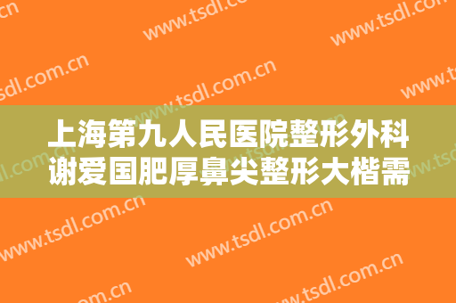 上海第九人民医院整形外科谢爱国肥厚鼻尖整形大楷需要多少钱?多长时间恢复?