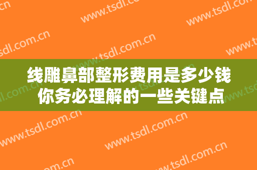 线雕鼻部整形费用是多少钱 你务必理解的一些关键点