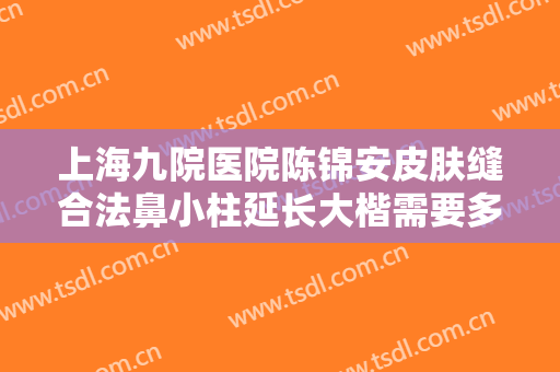 上海九院医院陈锦安皮肤缝合法鼻小柱延长大楷需要多少钱?怎么样?
