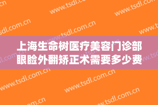 上海生命树医疗美容门诊部眼睑外翻矫正术需要多少费用?好不好?(上海眼部整形医生推荐)