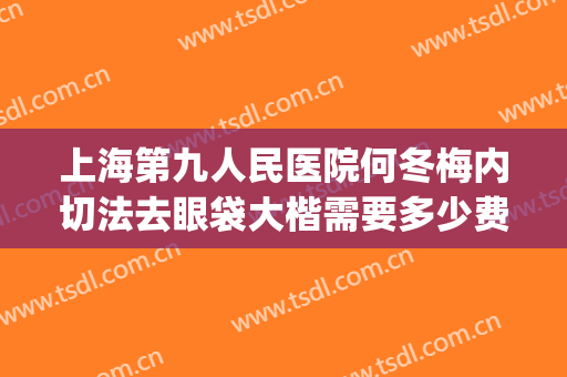 上海第九人民医院何冬梅内切法去眼袋大楷需要多少费用?怎么样?(上海九院割眼袋哪个医生擅长)