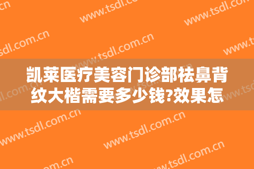 凯莱医疗美容门诊部祛鼻背纹大楷需要多少钱?效果怎么样?