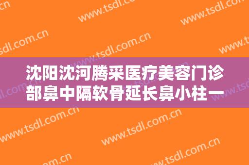 沈阳沈河腾采医疗美容门诊部鼻中隔软骨延长鼻小柱一般价位是多少?怎么样?