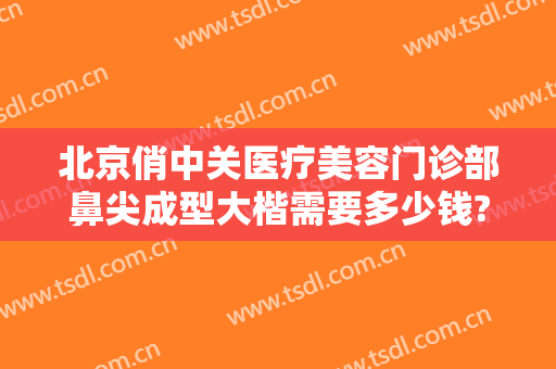 北京俏中关医疗美容门诊部鼻尖成型大楷需要多少钱?靠谱吗?